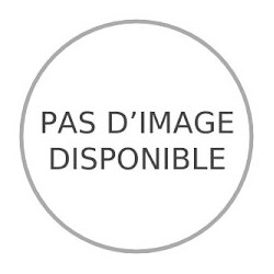 BOULON INOX SCELLEMENT CHIMIQUE - POUR P10 ET BC10 