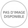 BOULON INOX SCELLEMENT CHIMIQUE - POUR P10 ET BC10 