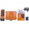 RADIO COMMANDE TM-70 'HYBRIDE'