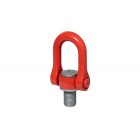 Anneau de Levage DSS