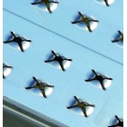 Rampes aluminium type AOS GRANDE LARGEUR - Charge maxi 1 515 kg/unité