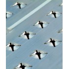 Rampes aluminium, type AOS TROTTOIR - Charge maxi 1 500 kg/paire