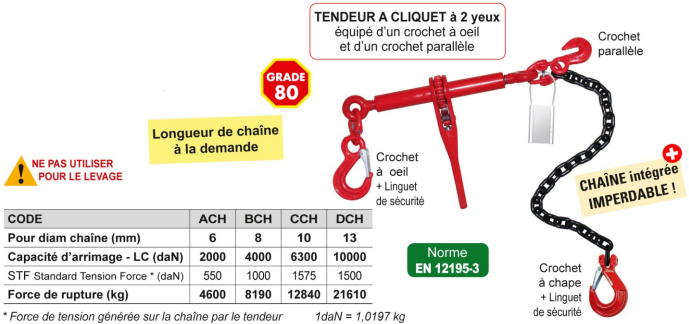 ENSEMBLE D'ARRIMAGE HAUTE RÉSISTANCE : Tendeur à cliquet + Chaîne grade 80  LEVAC