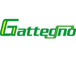 GATTEGNO