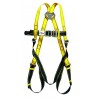 HARNAIS ANTICHUTE 2 POINTS