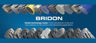BRIDON